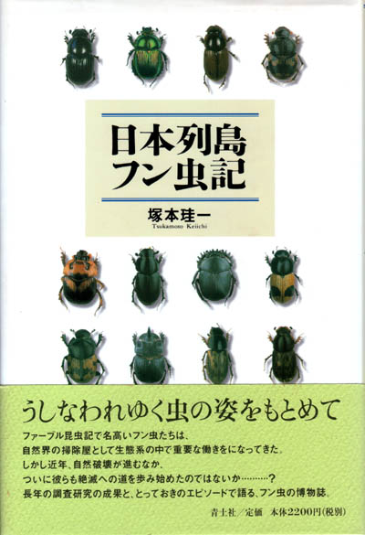 糞虫 ケンヤの里山ビオトープ日記 糞虫 ケンヤの里山ビオトープ日記