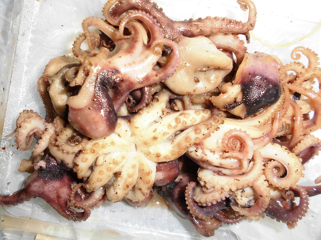 イイダコのバター焼き300円が大洗釣行の定番 おやじのひとり言 イイダコのバター焼き300円が大洗釣行の定番 おやじのひとり言