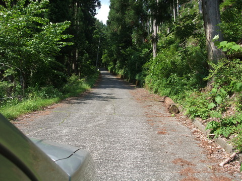 DSCF1036
