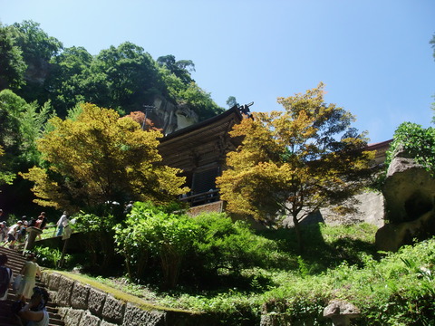 DSCF1174