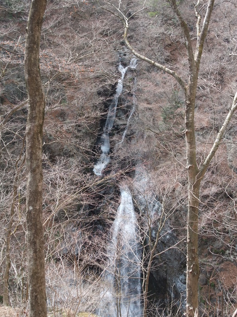 DSCF2405