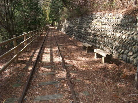 DSCF0904