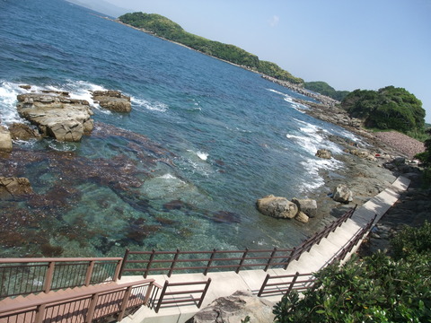DSCF1017