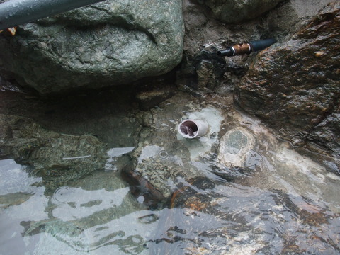 DSCF1288