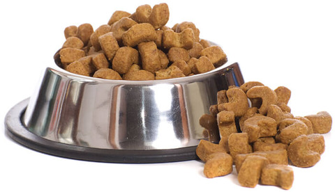 dogfood