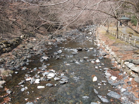 DSCF2395