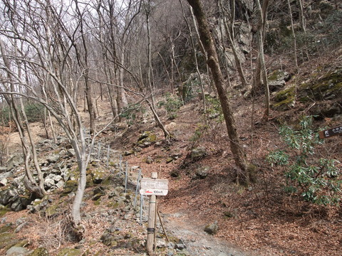 DSCF2397