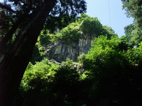 DSCF1169