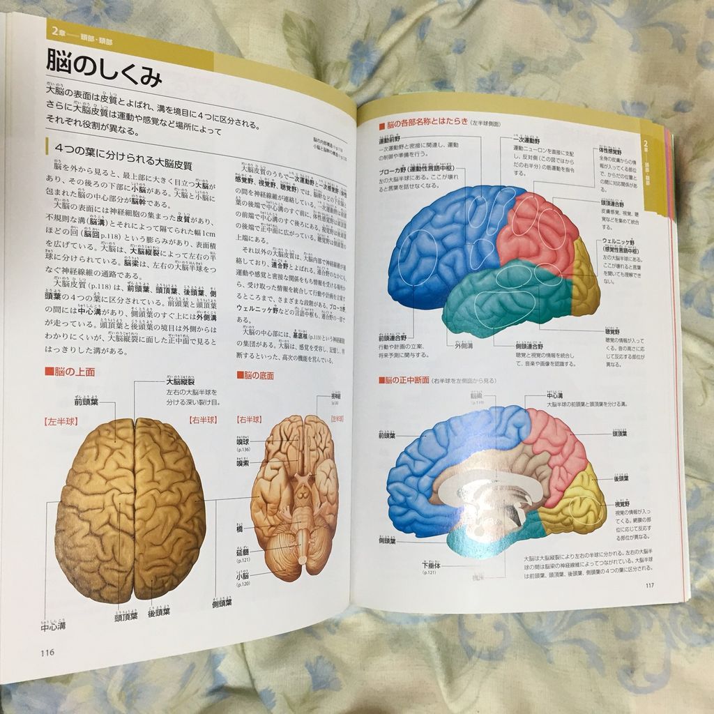 ショートショート
カテゴリ:
吾 人物
人間、肉体一元論東洋倫理概論いい男とは自我とは人物とは吾の要素吾の環境意識とは自我とは消せ 吾とは 2善人を装う吾とは