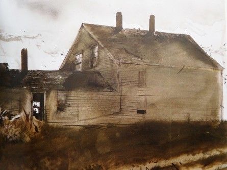 アニデュラファンギナ ワイエス/ファイザーのリーフレット