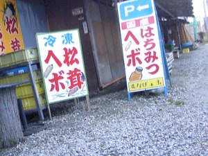 97bd4a52.jpg