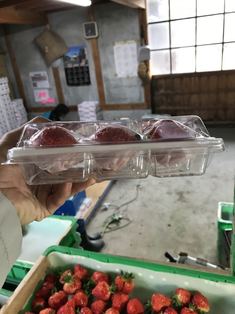 かける 一手間と圧 おお キャプテン マイ キャプテン 大江山より愛を込めて