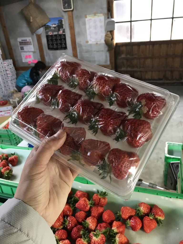 かける 一手間と圧 おお キャプテン マイ キャプテン 大江山より愛を込めて