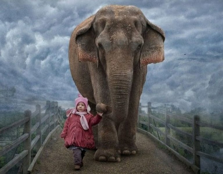 週間ボケピックアップ 7月 3 3 大喜利限界集落