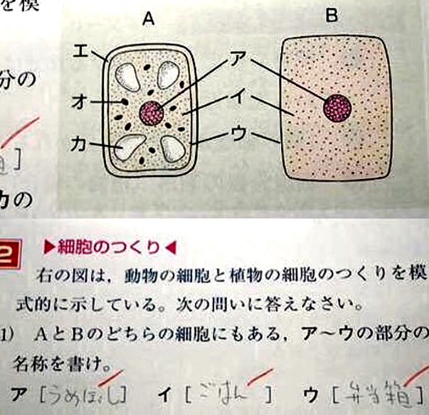 ピックアップ 大喜利限界集落