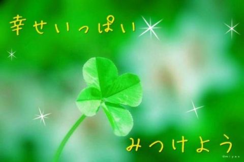 RS=^ADBPWmFIZCuIWPcNKCpHBjWlkKsoj0-;_ylt=A2RiouHik