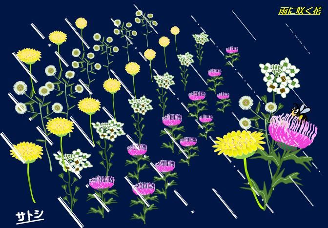 雨に咲く花 栃木市おおひらpcクラブ イラストblog