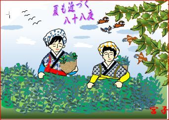 茶摘み 栃木市おおひらpcクラブ イラストblog