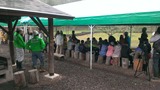 IMAG0042