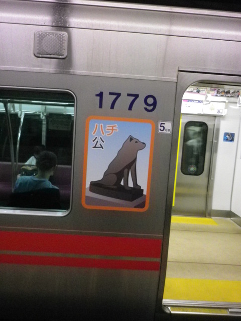 IMGP8708
