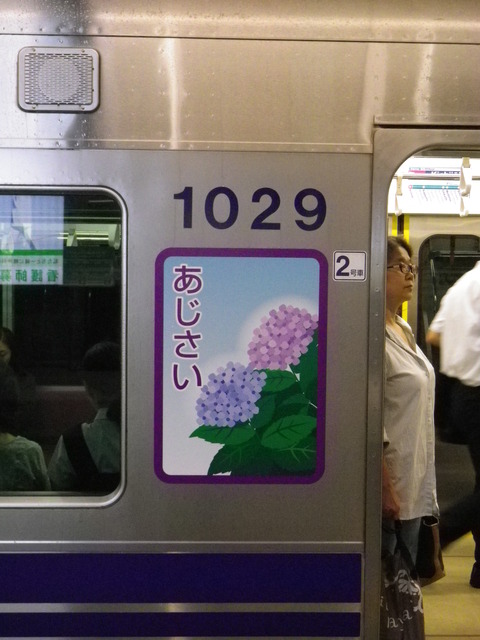 IMGP8716