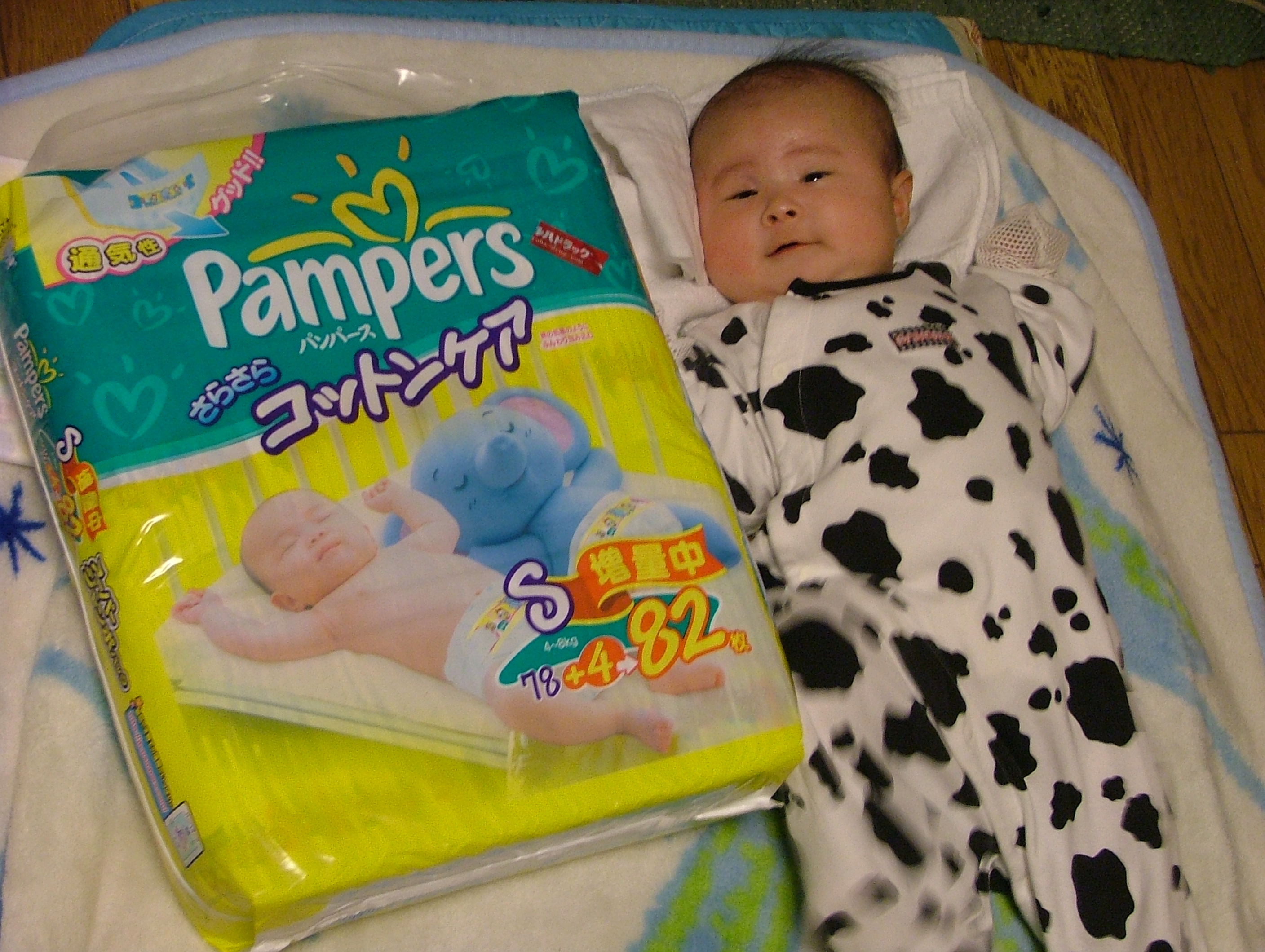 パンパースにしてみました 今日のすみちゃん