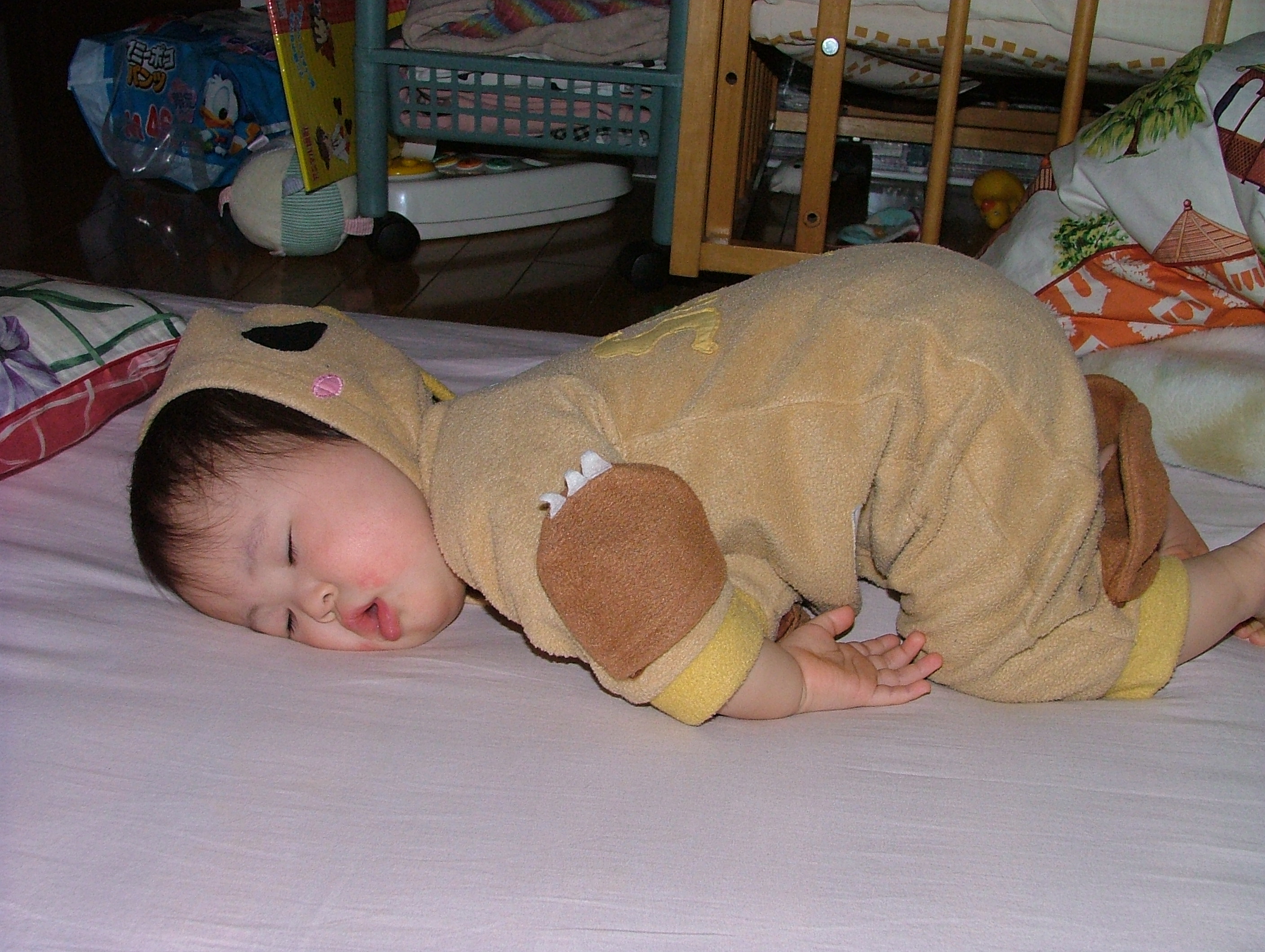 寝ちゃった 今日のすみちゃん