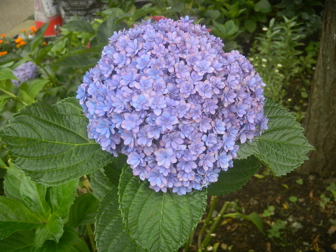 DSCN3748