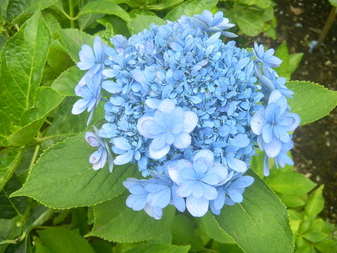 DSCN3743