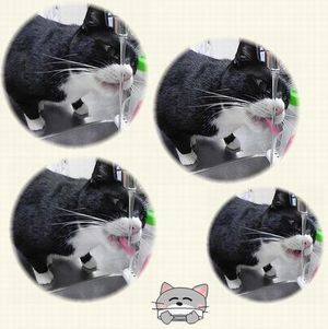 11.おくらー水