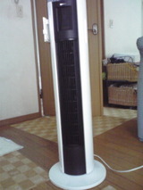11cfab03.jpg