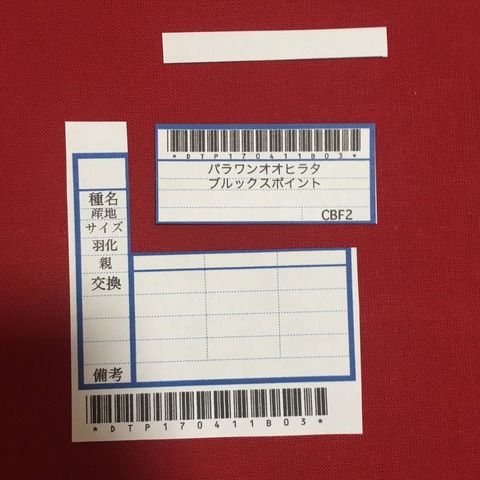 DZM5yYsUQAE6oqz
