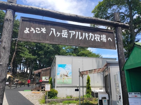 line_979503704973974