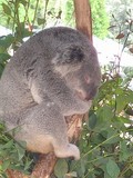 s-IMG_0402-s