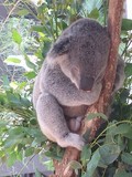 s-IMG_0405-s