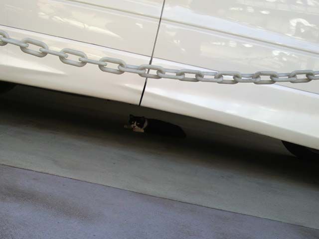 ただの雑記 小ネタ からまんブログ