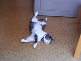 RIMG0664_s