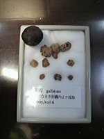 S-P1000035