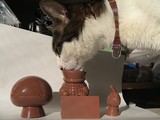 Ȭ