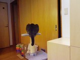 ハチケツ