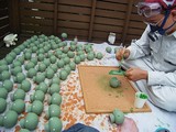 RIMG0701_s