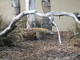 s-IMG_0450