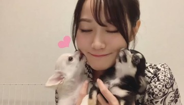 小倉唯犬