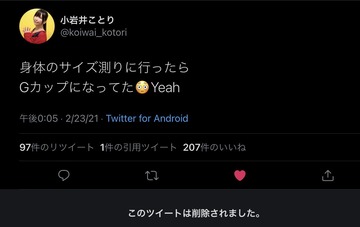 小岩井ことりGカップ