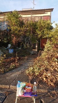 aiueo700お供え物