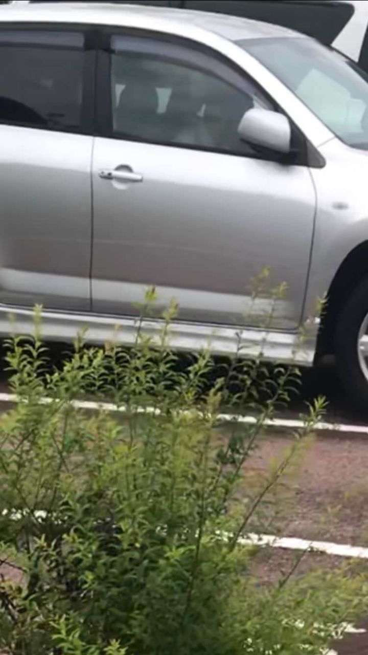 Rav4 大物youtubeｒ速報