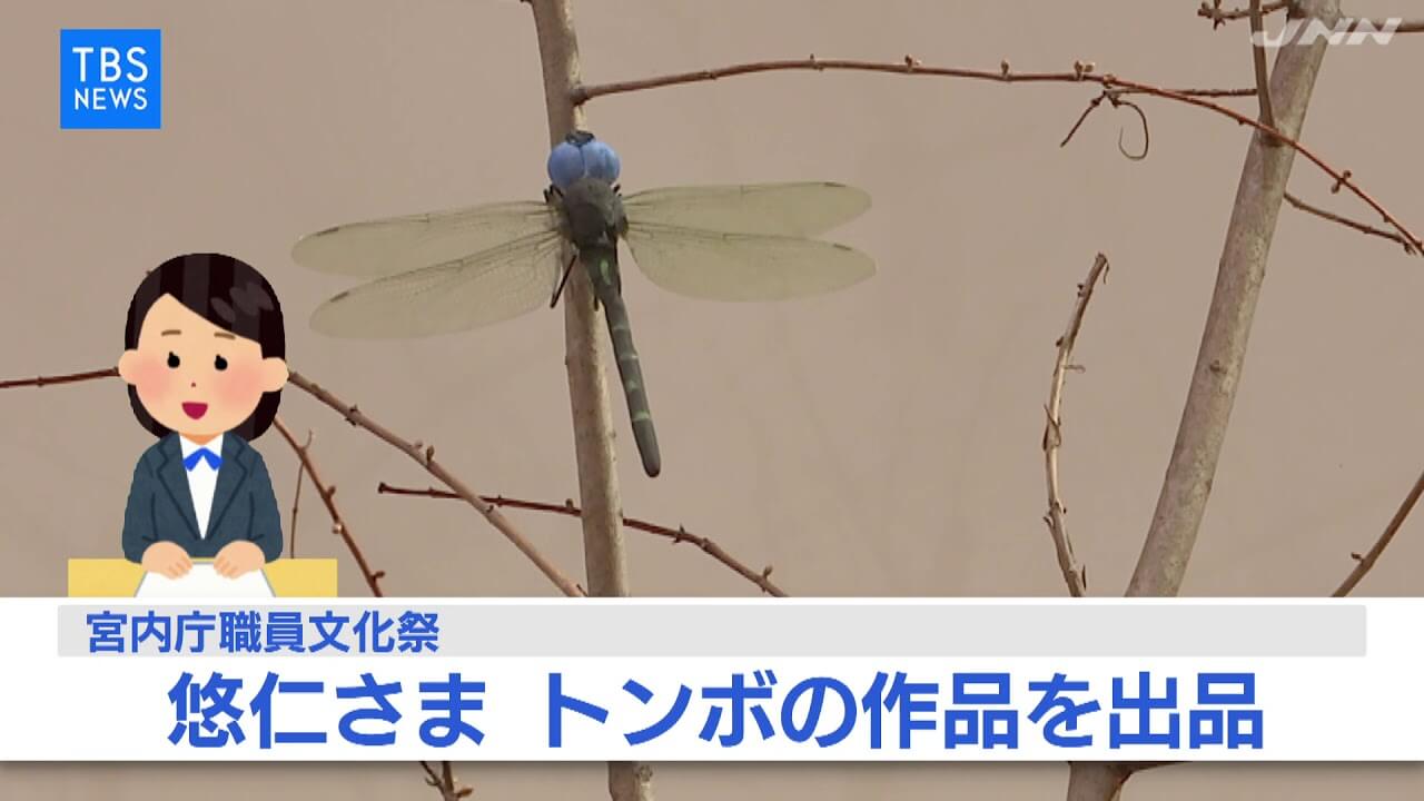 悠仁さま 本物のトンボの羽をむしり粘土細工にくっつけ作品を提出する 大物youtuber速報 悠仁さま 本物のトンボの羽をむしり粘土細工にくっつけ作品を提出する 大物youtuber速報