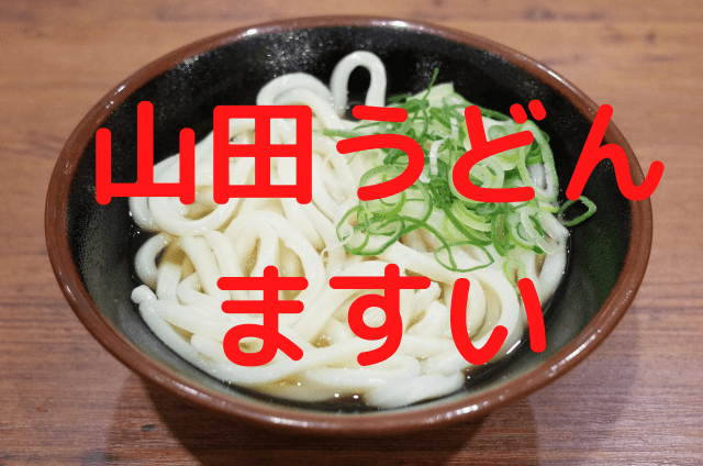 山田うどんの欠点はうどんがまずい事だよな 大物youtubeｒ速報