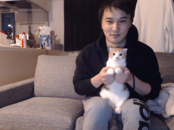 加藤純一猫