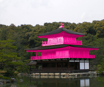 岡くん金閣寺